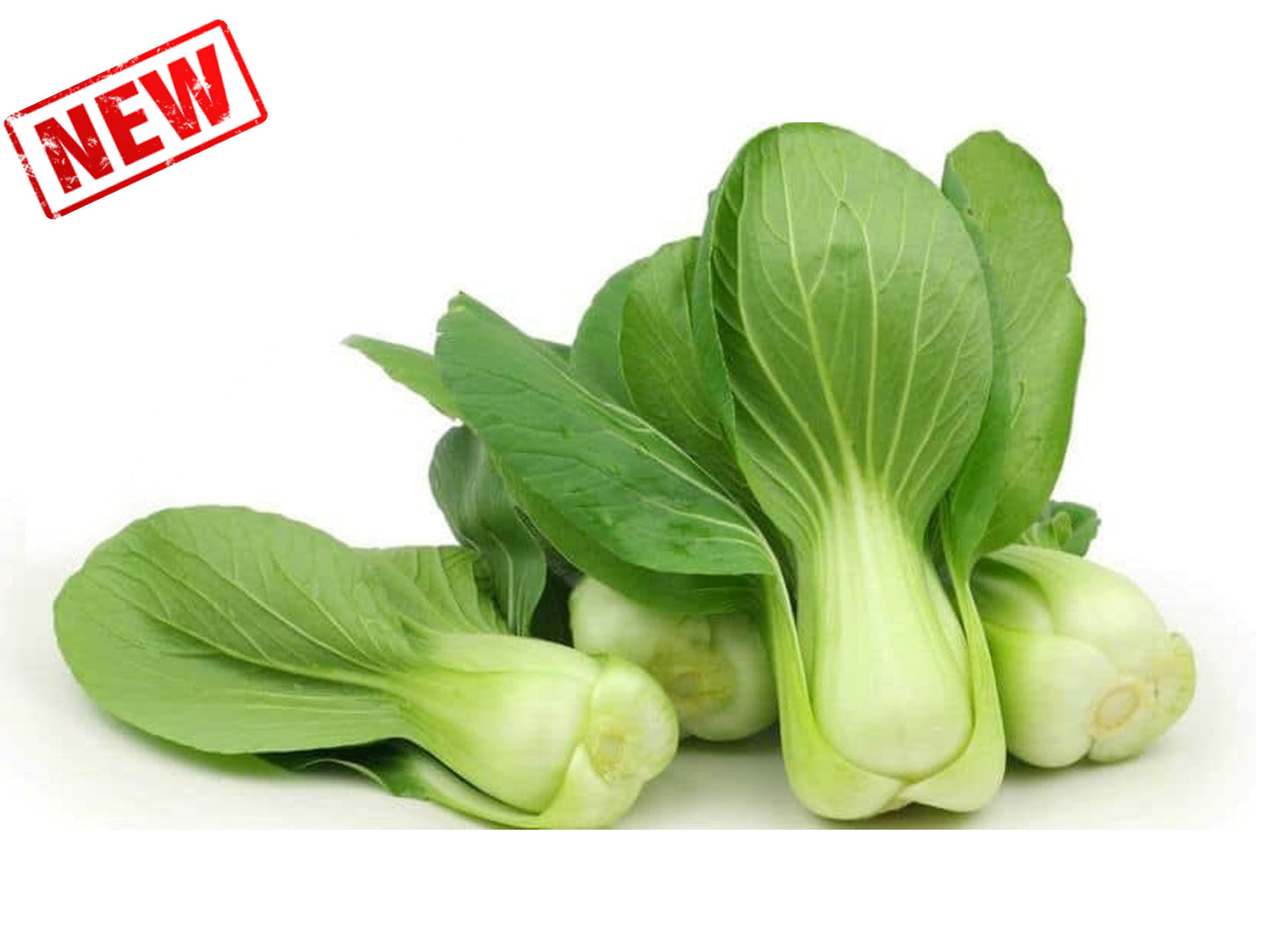 Bok Choy